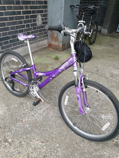 trek mt 220 purple
